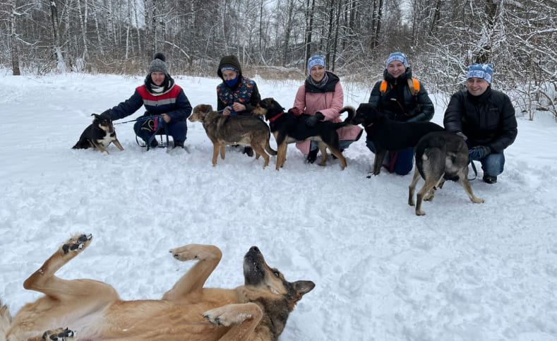 АВЗ благотворительность