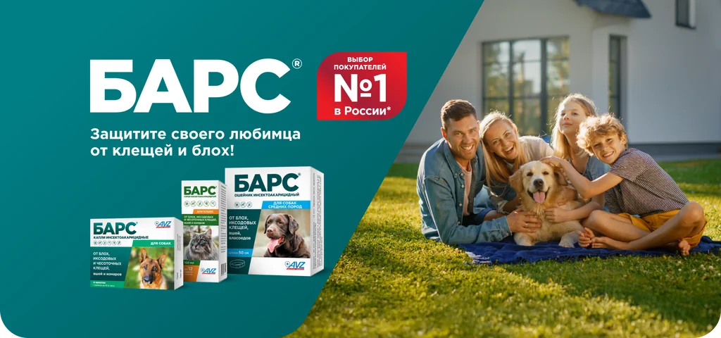 Барс