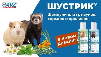 Любимый шампунь ШУСТРИК® в новом формате: обновленный дизайн и природная польза для маленьких питомцев!