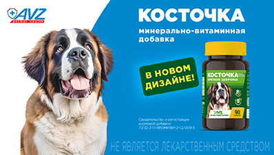 Легендарная минерально-витаминная добавка Косточка обновляет дизайн: любимые витамины стали еще лучше!