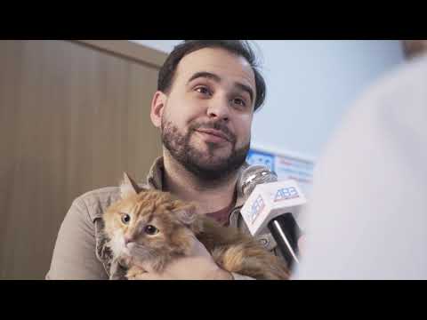 Видео о Компании АВЗ - Барс от блох и клещей для кошек