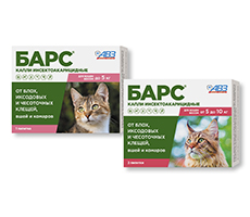 Bars insecticidal drops for cats