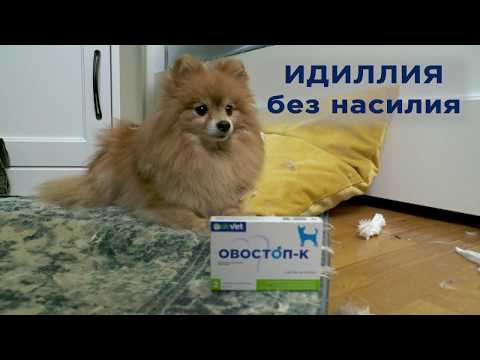 Видео о Компании АВЗ - Овостоп для собак. Идиллия без насилия.