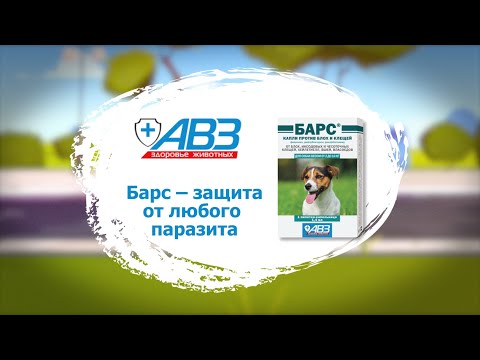 Видео о Компании АВЗ - О собаке и клещах в стихах