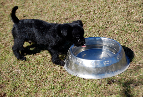 Соблюдение баланса питательных веществ