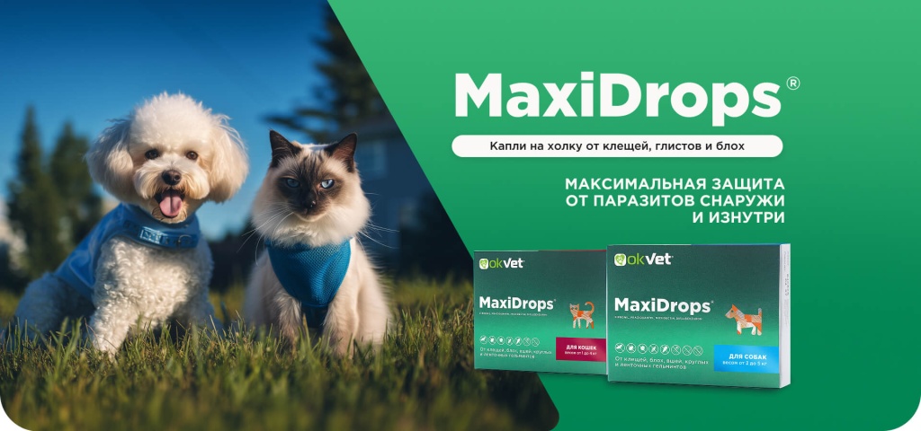 МаксиДропс