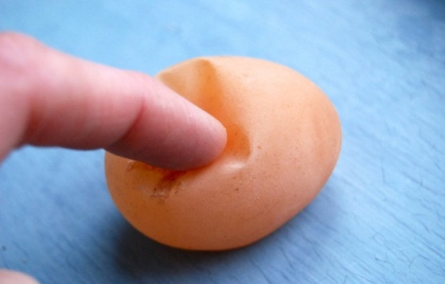 Яйца без скорлупы у кур: причины и решения