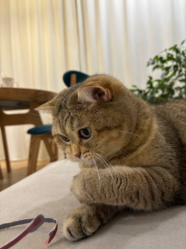 bnes43d.jpg bnes43d.jpg