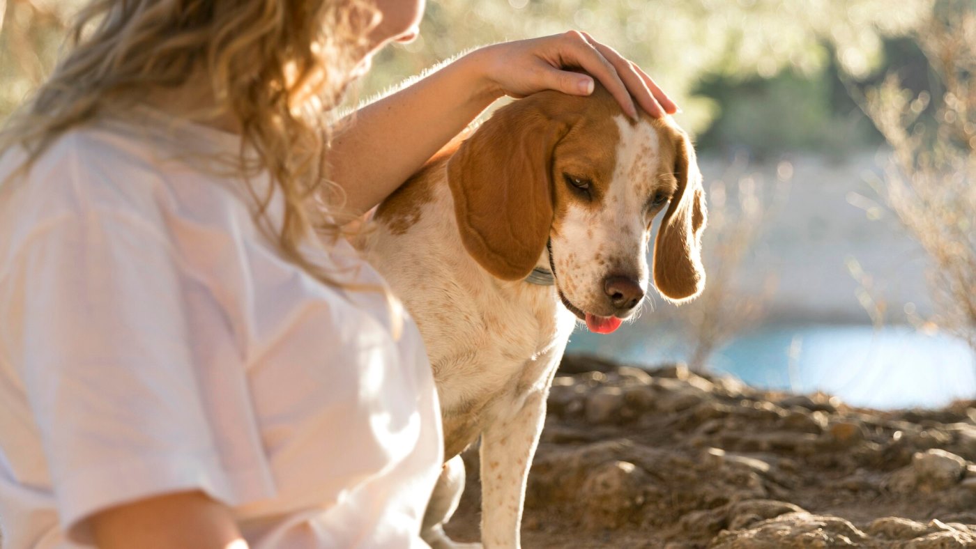 dog-her-owner-nature_23-2148728061.jpg