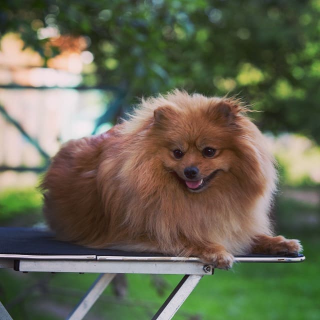 yynfla7c.jpg yynfla7c.jpg