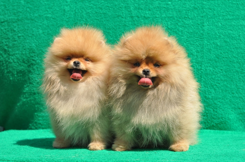 hisdlhfa.jpg hisdlhfa.jpg