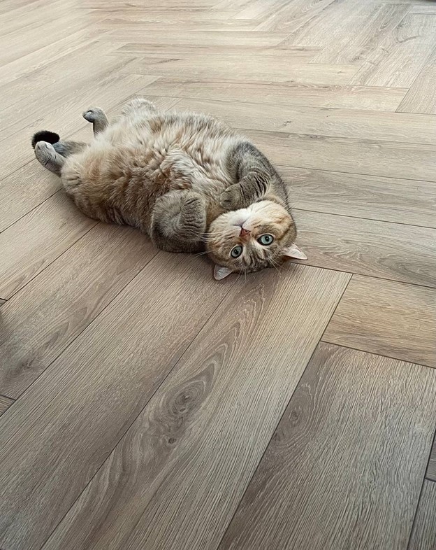 5gw4ghbd.jpg 5gw4ghbd.jpg