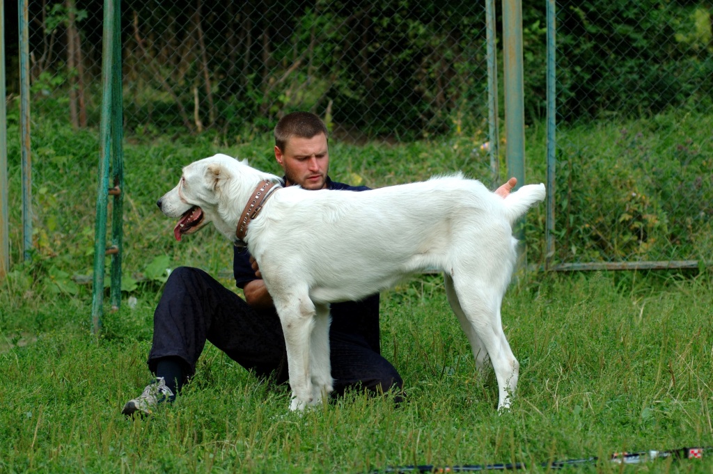 nvopaued.jpg nvopaued.jpg