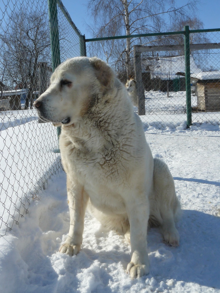 uoiw7u8c.jpg uoiw7u8c.jpg