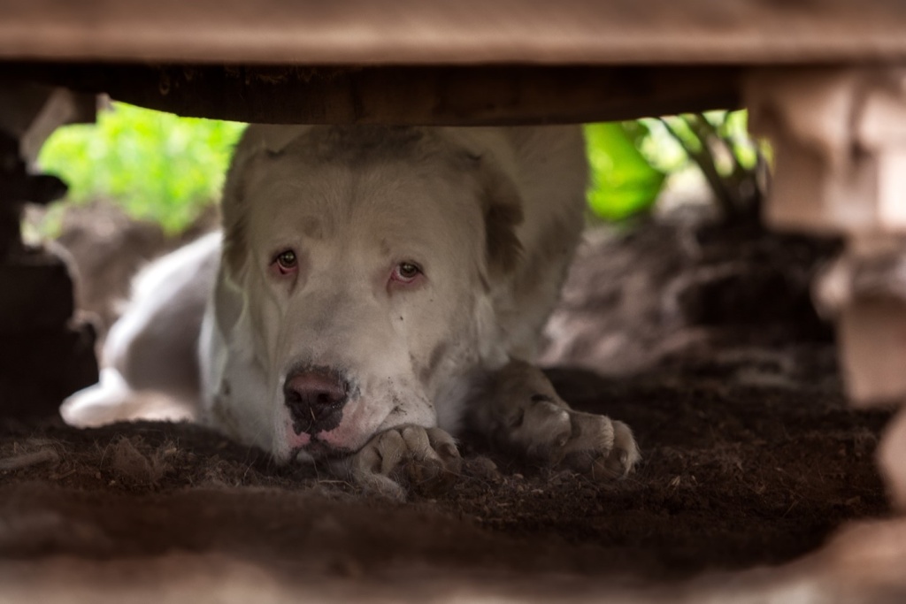 rg3bs3sc.jpg rg3bs3sc.jpg