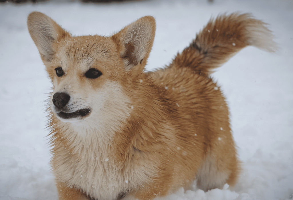 euc79a.png euc79a.png