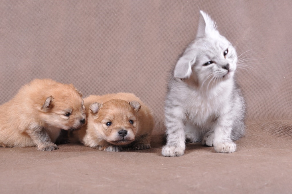 mu5evf3r.jpg mu5evf3r.jpg