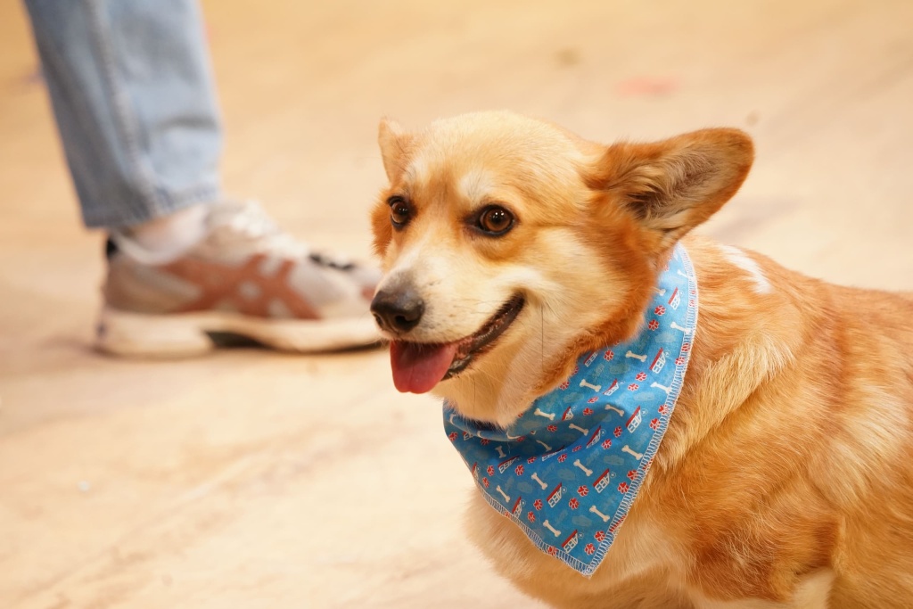 hcgte66.jpg hcgte66.jpg