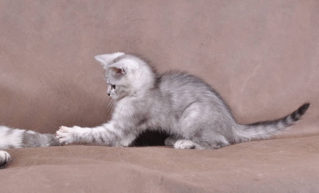 j7r5ghdje.jpg j7r5ghdje.jpg