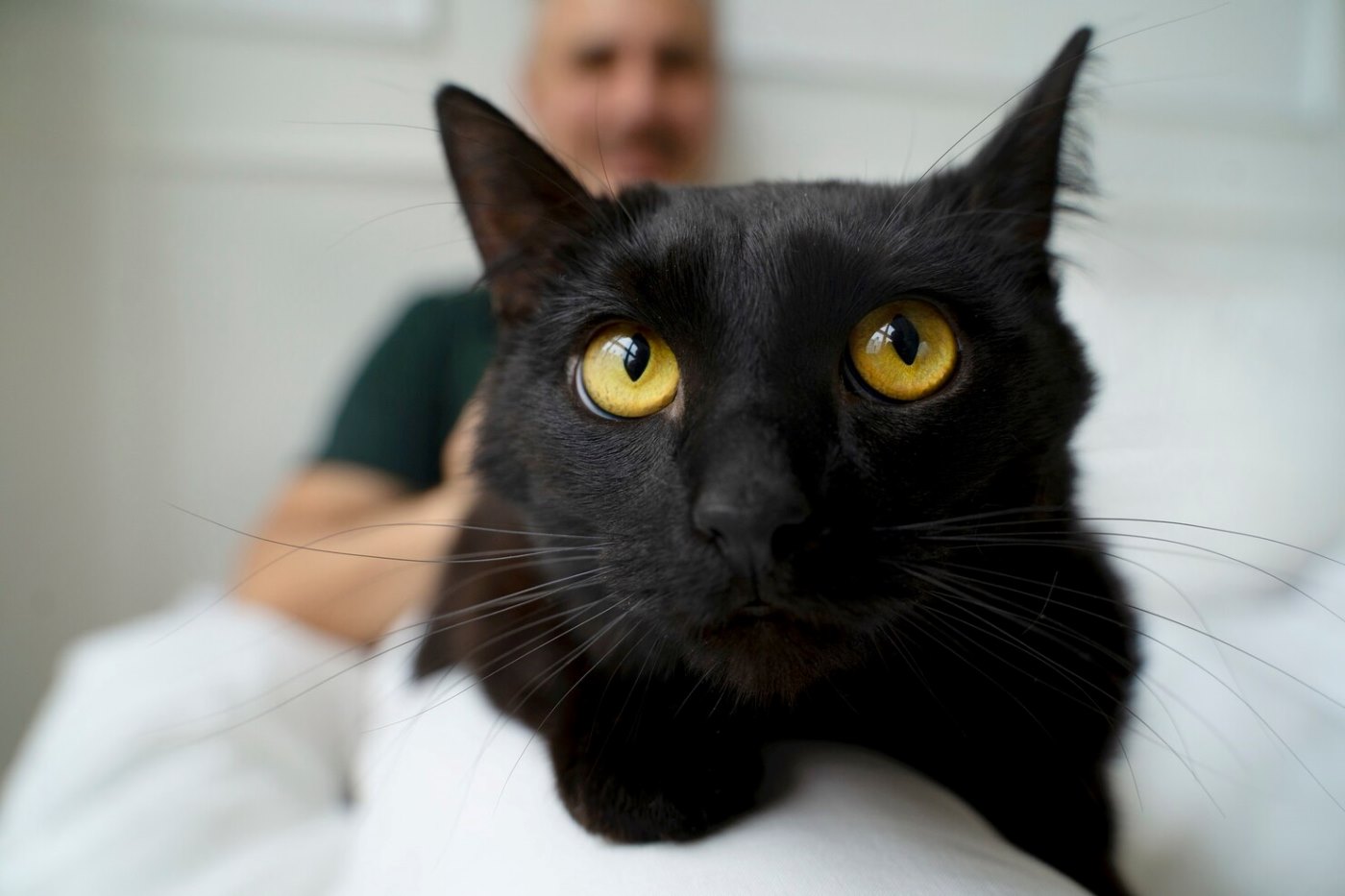 elderly-person-spendng-tim-with-their-pets_23-2149486392.jpg