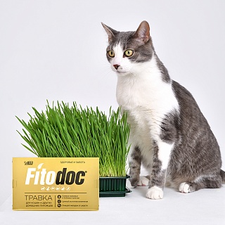 Фитодок® травка для кошек и других домашних любимцев: описание, применение, купить по цене производителя