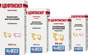 Ceftisil suspension for injections
