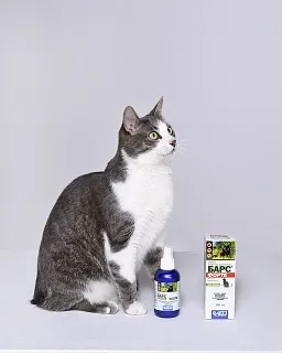 Барс Форте спрей инсектоакарицидный для кошек: описание, применение, купить по цене производителя