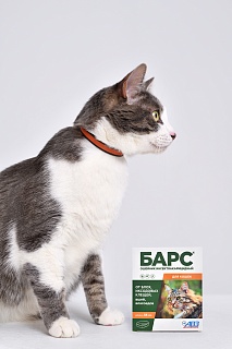 Bars fleas and ticks collar for cats: description, application, buy at manufacturer's price