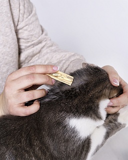 Барс Форте капли против блох и клещей для котят: описание, применение, купить по цене производителя