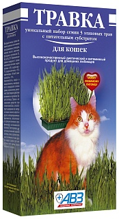 Grass for cats vitamin supplementary feeding