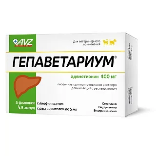 ГЕПАВЕТАРИУМ®: описание, применение, купить по цене производителя