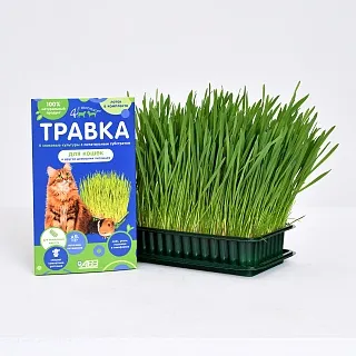 FOUR WITH A TAIL® GRASS FOR CATS AND OTHER PETS: description, application, buy at manufacturer's price