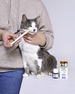 Dironet Junior for puppies and kittens: description, application, buy at manufacturer's price