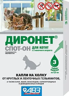 Dironet SPOT ON adult kittens: description, application, buy at manufacturer's price