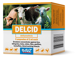 Delcid 