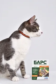 Барс ошейник инсектоакарицидный для кошек: описание, применение, купить по цене производителя