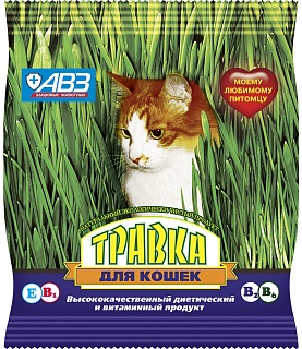 Grass for cats vitamin supplementary feeding: description, application, buy at manufacturer's price