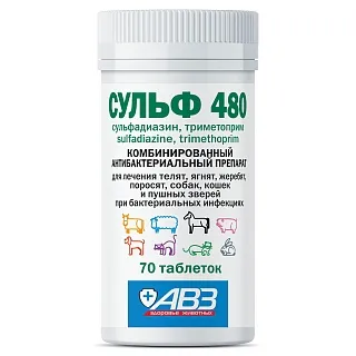 Сульф 480. Таблетки для приема внутрь: описание, применение, купить по цене производителя