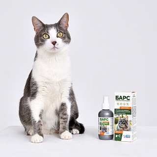 Барс спрей инсектоакарицидный для кошек: описание, применение, купить по цене производителя