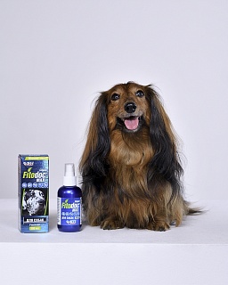 Fitodoc Max спрей для собак: описание, применение, купить по цене производителя