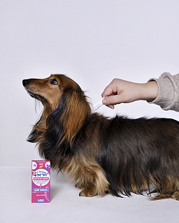 Четыре с хвостиком капли на холку для собак с репеллентным эффектом: описание, применение, купить по цене производителя