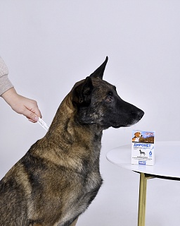 Диронет Спот-он для взрослых собак : описание, применение, купить по цене производителя