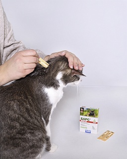 Барс Форте капли для кошек против блох и клещей: описание, применение, купить по цене производителя